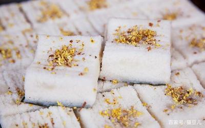 烏鎮美食探店,這些人均消費10+又好吃的東西